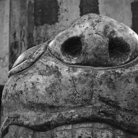 Detail of bixi statue nose